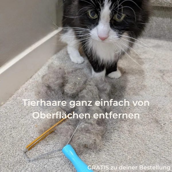 Katzenhaarschneider
